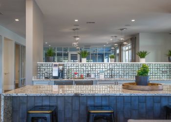 Proximity Northlake Modern kitchen with granite countertops, potted plants, and metal bar stools in a bright, open space.