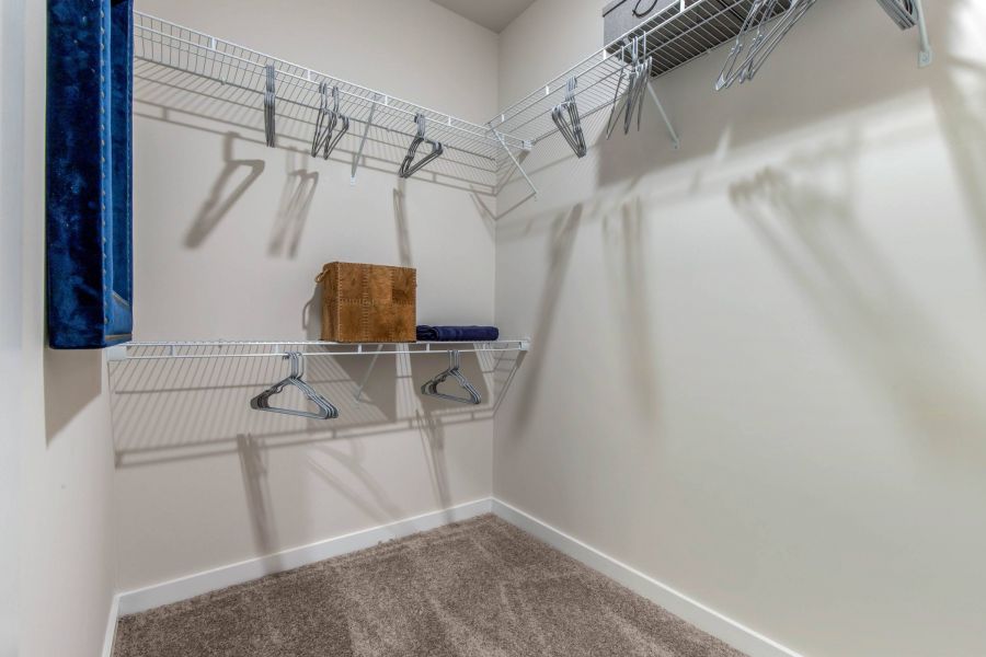 Proximity Northlake Empty walk-in closet with wire shelves, hangers, a brown paper bag, and two folded towels on the shelf.